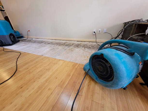 Professional Water Damage Repair technician working in Fort Belvoir, VA